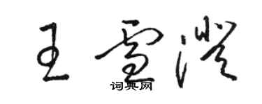 駱恆光王雪澄草書個性簽名怎么寫