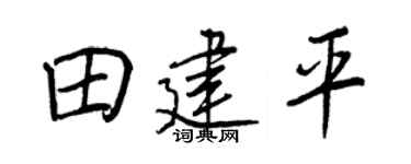 王正良田建平行書個性簽名怎么寫