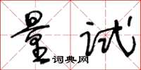 王冬齡量試草書怎么寫