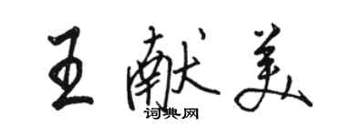 駱恆光王獻美行書個性簽名怎么寫