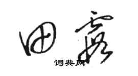 駱恆光田霞草書個性簽名怎么寫