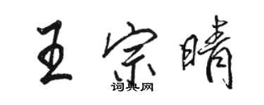 駱恆光王宗晴行書個性簽名怎么寫