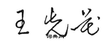 駱恆光王先花草書個性簽名怎么寫