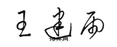 駱恆光王建雨草書個性簽名怎么寫