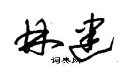 朱錫榮林建草書個性簽名怎么寫