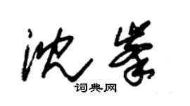朱錫榮沈峰草書個性簽名怎么寫