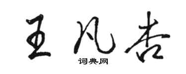 駱恆光王凡杏行書個性簽名怎么寫