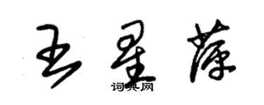朱錫榮王星萍草書個性簽名怎么寫