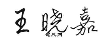 駱恆光王曉嘉行書個性簽名怎么寫