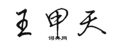 駱恆光王甲天行書個性簽名怎么寫