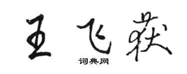 駱恆光王飛獲行書個性簽名怎么寫