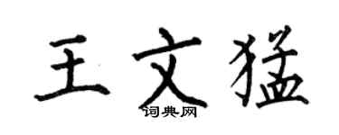 何伯昌王文猛楷書個性簽名怎么寫