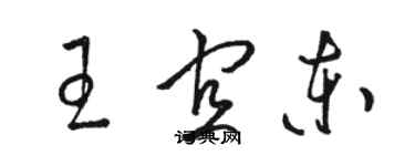 駱恆光王宜東草書個性簽名怎么寫