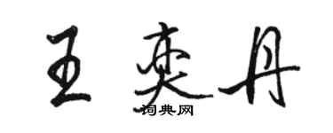 駱恆光王奕丹行書個性簽名怎么寫