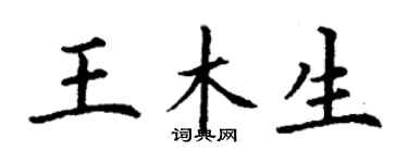 丁謙王木生楷書個性簽名怎么寫