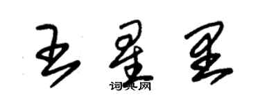 朱錫榮王星里草書個性簽名怎么寫