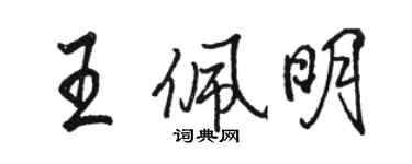駱恆光王佩明行書個性簽名怎么寫