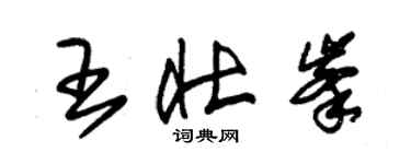 朱錫榮王壯峰草書個性簽名怎么寫