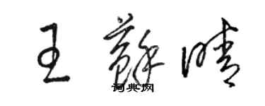 駱恆光王蘇晴草書個性簽名怎么寫