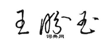 駱恆光王盼玉草書個性簽名怎么寫