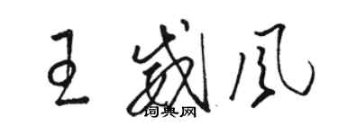 駱恆光王威風草書個性簽名怎么寫