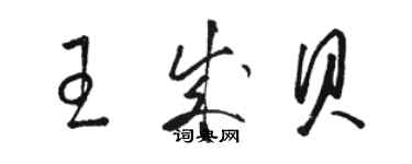 駱恆光王成貝草書個性簽名怎么寫