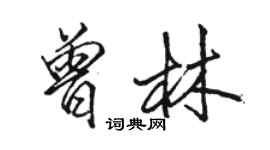 駱恆光曾林行書個性簽名怎么寫