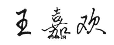 駱恆光王嘉歡行書個性簽名怎么寫