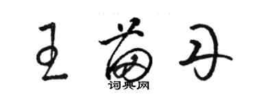 駱恆光王苗丹草書個性簽名怎么寫