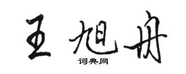 駱恆光王旭舟行書個性簽名怎么寫