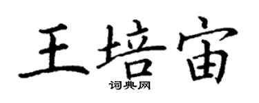 丁謙王培宙楷書個性簽名怎么寫