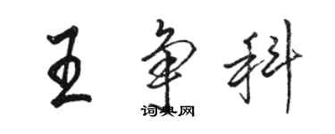 駱恆光王爭科行書個性簽名怎么寫