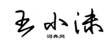朱錫榮王小沫草書個性簽名怎么寫
