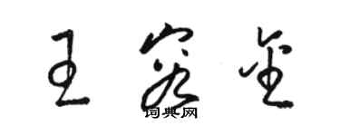 駱恆光王容金草書個性簽名怎么寫