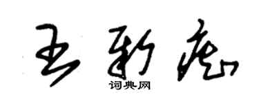 朱錫榮王新痴草書個性簽名怎么寫