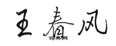 駱恆光王春風行書個性簽名怎么寫