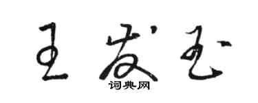 駱恆光王發玉草書個性簽名怎么寫