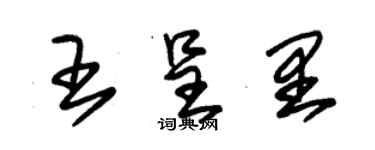 朱錫榮王呈里草書個性簽名怎么寫