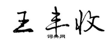 曾慶福王豐收行書個性簽名怎么寫