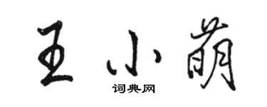 駱恆光王小萌行書個性簽名怎么寫