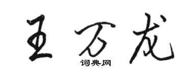 駱恆光王萬龍行書個性簽名怎么寫