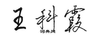 駱恆光王科霞行書個性簽名怎么寫