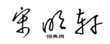 駱恆光宋明軒草書個性簽名怎么寫