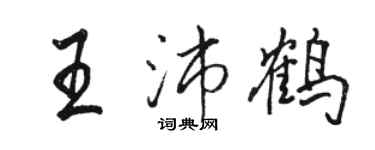 駱恆光王沛鶴行書個性簽名怎么寫
