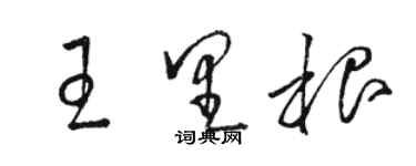 駱恆光王里根草書個性簽名怎么寫