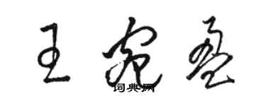 駱恆光王宛盈草書個性簽名怎么寫