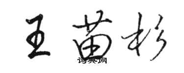 駱恆光王苗杉行書個性簽名怎么寫