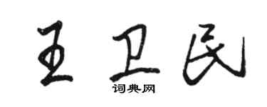 駱恆光王衛民行書個性簽名怎么寫