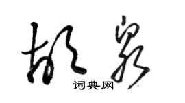 駱恆光胡泉草書個性簽名怎么寫