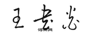 駱恆光王書炎草書個性簽名怎么寫